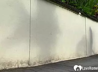 Tattooed Babe Begs for Total Bondage Domination and Brutal Face Fucking