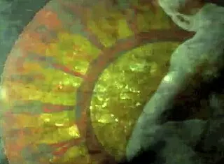 VINTAGE DRAWINGS EXPLODE WITH RETRO HEAT!