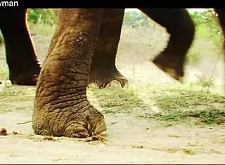 WOW Luna Star's Oiled Bareback With Bradnewman S3xus!