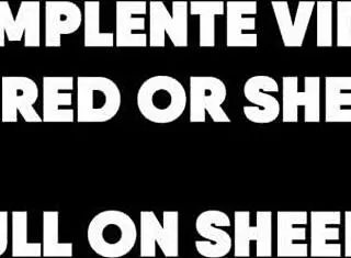 hot kitchen blowjob striptease full vid on sheer or red