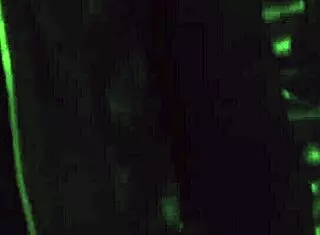 What If Madame's Slave Licks Her to Orgasm?