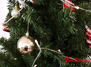 Nasty mommy elizabeth skylar sky wonderland juan loco creamy family christmas fuck