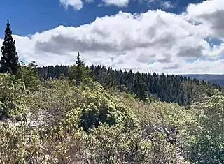 Chilean Milf Couple's Intense Hilltop Outdoor Pounding