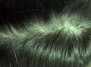 hey, wanna see me cheat on boyfriend with his friend in kitchen?