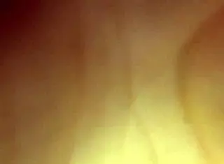 Suggestive chubby beauty's steamy bedroom romp