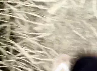 I crave these gifted hunks pounding group sex with hairy bushes full of thick cum loads