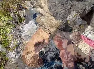 Chilean Milf Couple's Intense Hilltop Outdoor Pounding