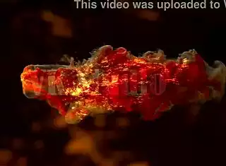 new asian babe ashly ventures into intense backside action boldly