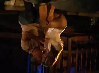 delilah strong's shaved pussy takes brutal anal outdoors atm cumshot in heels