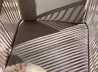 Hot Couple's Wild POV Blowjob Compilation!