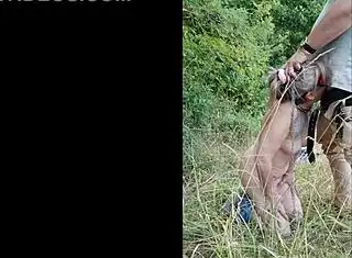 SLAVE FRENCH MILF BENT OVER HIGHWAY FOR PISS N ROUGH BLOWJOB FACIAL!