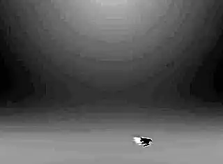 hey lizz tayler, ready for that bent over doggystyle creampie booty call?