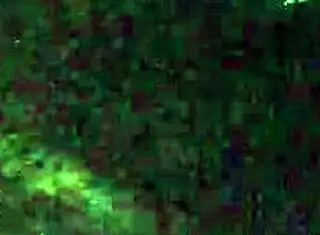 damn check out my wife's massive juicy culote at the hotel! 🍑🔥