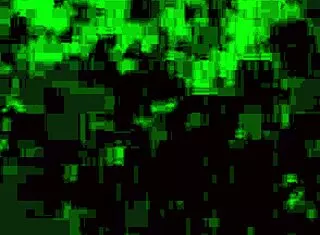 Husband, watch bull pound your wife hard now??