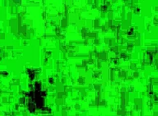 Husband, watch bull pound your wife hard now??