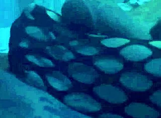 sexy nylons wrapped tight for footjob tease