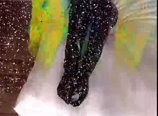 Bitch Slave Feet Worship in BDSM Domination Song