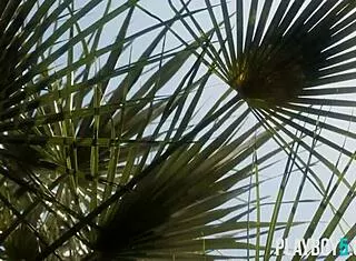 i strip my petite arab milf body outdoors for playboy!