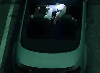 GTA 5 bust catchin prostitute sex in car game