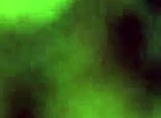 big booty 65 year old ebony granny shakes ass part 2