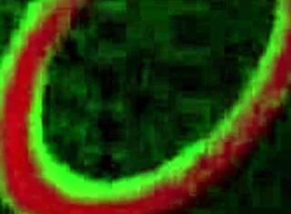 god i love watching curvy milf sara jay stretch her huge pussy lips with that fat dildo