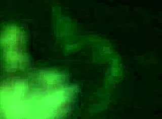 Kurt Cobain Spits On Globo Cameras Live At Hollywood Rock '93