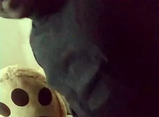 craving ebony toy jeans jerk off join my private masturbation free