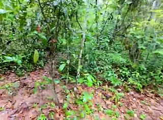 damn, this thai teen out picking mushrooms gets her pussy fucked rough in the forest... wild!