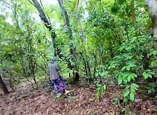 damn, this thai teen out picking mushrooms gets her pussy fucked rough in the forest... wild!