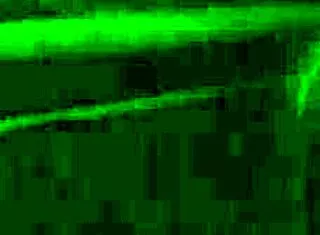 dread hot valentin fuck ends mouth creampie bliss