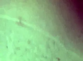 wife fucked by ex husband watches close?