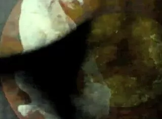 Vintage Erotic Art Collection