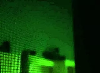 oy, listen to my loud neighbor moan like crazy