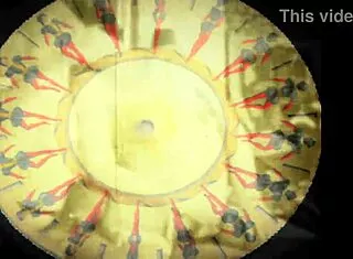 Vintage erotic art displays retro hairy antique scenes