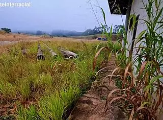 we pull over at abandoned spot for risky outdoor interracial public suckoff