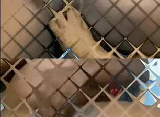 glamour lesbians lick scissor and strap on wildly