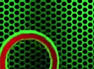 Hot Lesbian Duo Julia Ann Licks Wet Pussy Lips In Lingerie Party