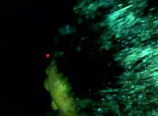 Mulatto Babes Gagging on Huge Mandingo Cocks!