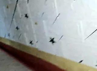 christmas eve horny stepmom ema chacon rides homemade creampie