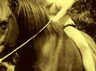 Dark Lantern Presents Victorian Gentleman's Erotic Bareback Pussy Confessions Vintage