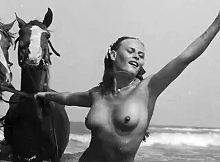 Dark Lantern Presents Victorian Gentleman's Erotic Bareback Pussy Confessions Vintage