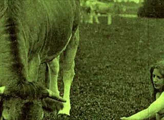 Dark Lantern Presents Victorian Gentleman's Erotic Bareback Pussy Confessions Vintage