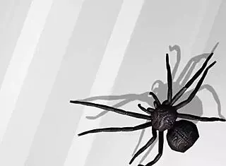 sexy skinny bikini ladies pose and try on for photoshoot