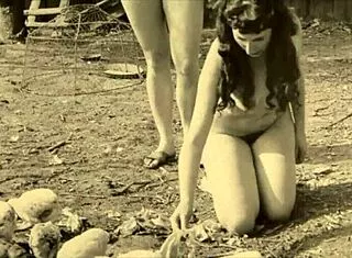 Dark Lantern Presents Victorian Gentleman's Erotic Bareback Pussy Confessions Vintage