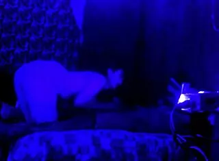 i love gulping my cuñado's cock at nights...