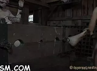 glamorous bound babe whipped hard across tied body