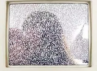 ditria rose sucks cock then eats pussy in hot pov vibrator action