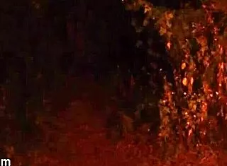 halloween night big booty ebony bbw snagged by masked slasher for deep pounding