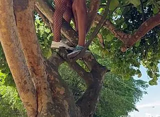 Brazilian Wife Rides Unknown Cock on Carnival Tree Swallows Cum in Public Block Fuck.