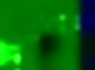 worship my cute pink 18+ toes suck them one by one pov femdom